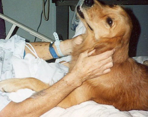 Holly the dog visit patient in the hospital.