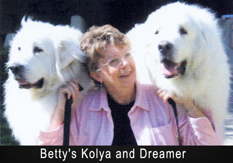 Woman with two big white dogs on either side of her smiling.