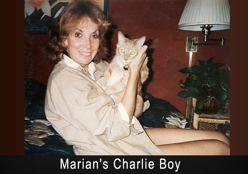 Marian holding a orange cat.