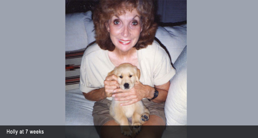 Woman hold her puppy in her arms sitting on a bed.
